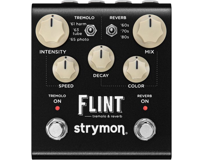 Strymon Flint tremolo reverb